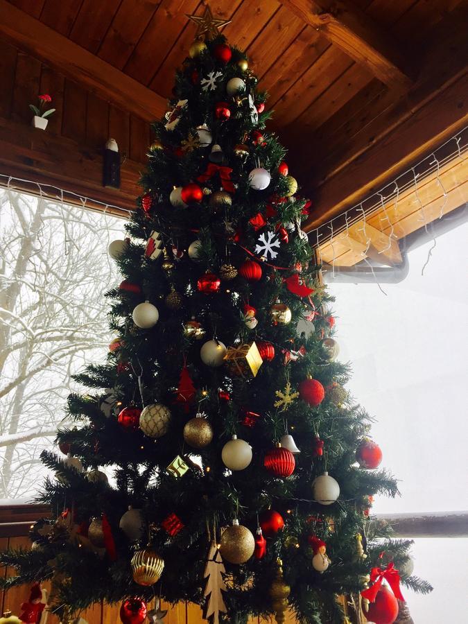 Locanda La Genzianella Bollengo Zewnętrze zdjęcie